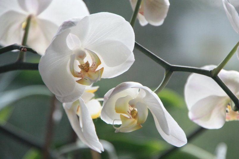 2          :        