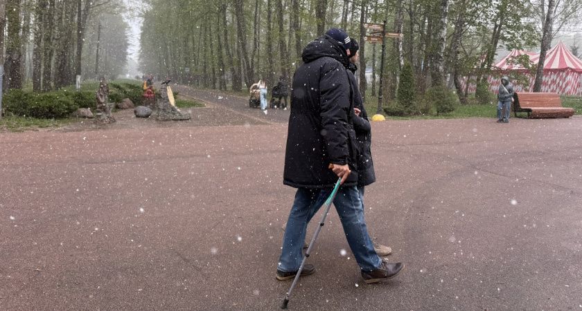 Синоптики срочно обновили прогноз на майские: заморозки до -5 и шквалистый ветер — куртки убирать рано