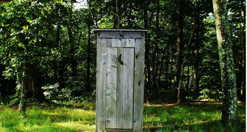 Как избавиться от неприятного запаха в выгребной яме с помощью ботвы томатов
