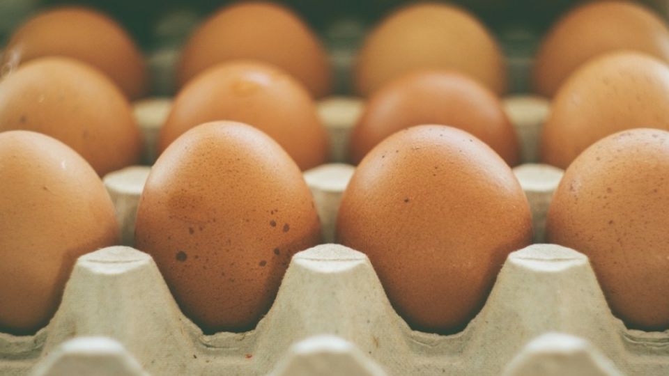 Ем яйца каждый день: как это влияет на обмен веществ и печень — что важно знать