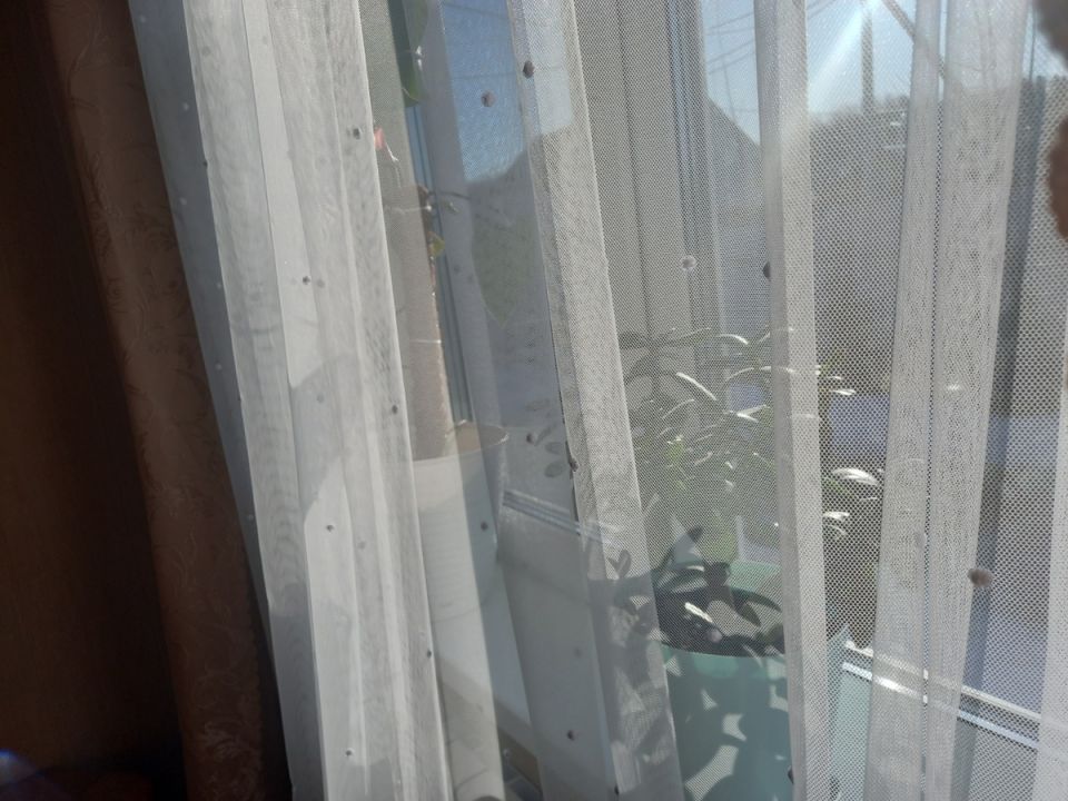     11 :    
