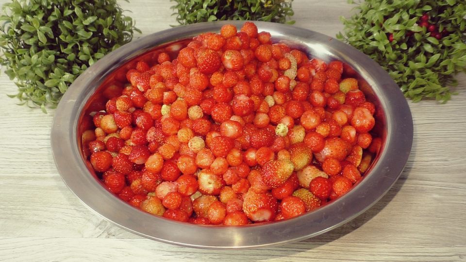     Wildberries      