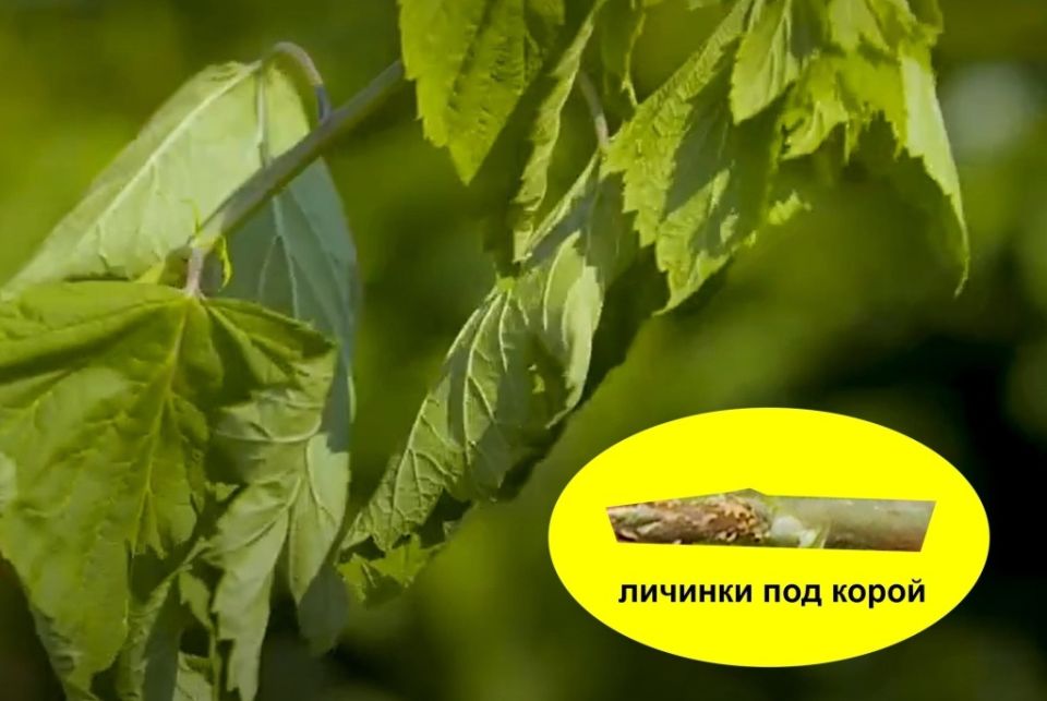  :    