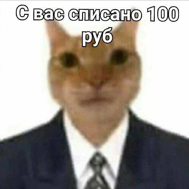   :  ?