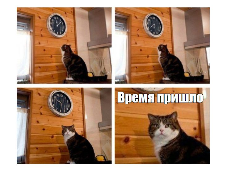  :    