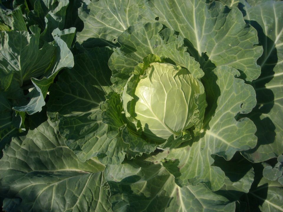   7 :      