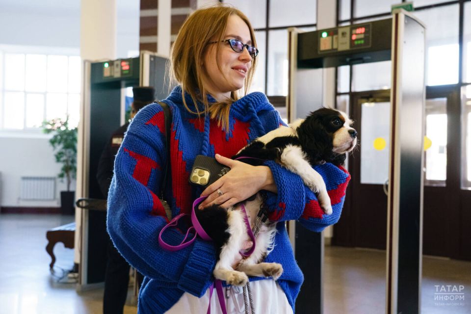 Госдума предлагает обязательную маркировку домашних питомцев: что ждать владельцам?