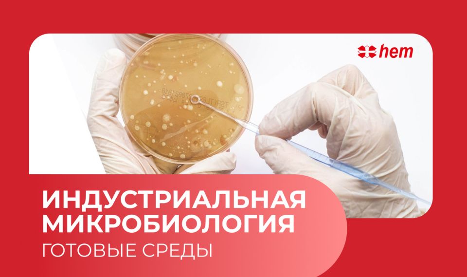 Проверка чистоты: залог безопасности и здоровья на пищевых производствах