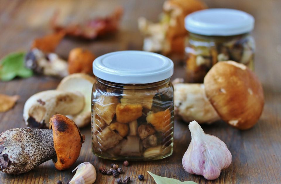 Лесной урожай: как сохранить грибы на зиму