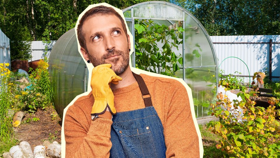 Эти предметы должны быть в теплице у хорошего дачника: проверьте себя