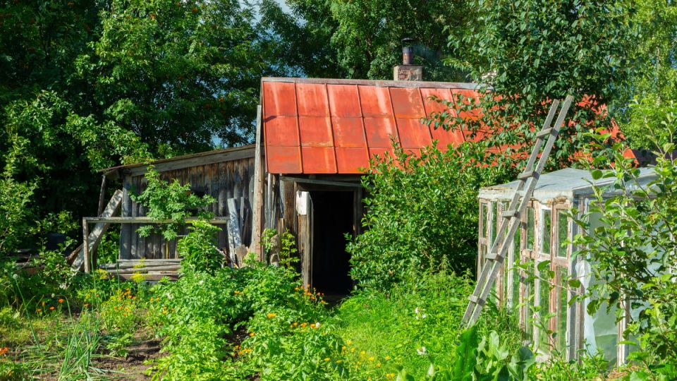 Необычная кража: как «дачный дедушка» стал автором громкого судебного дела