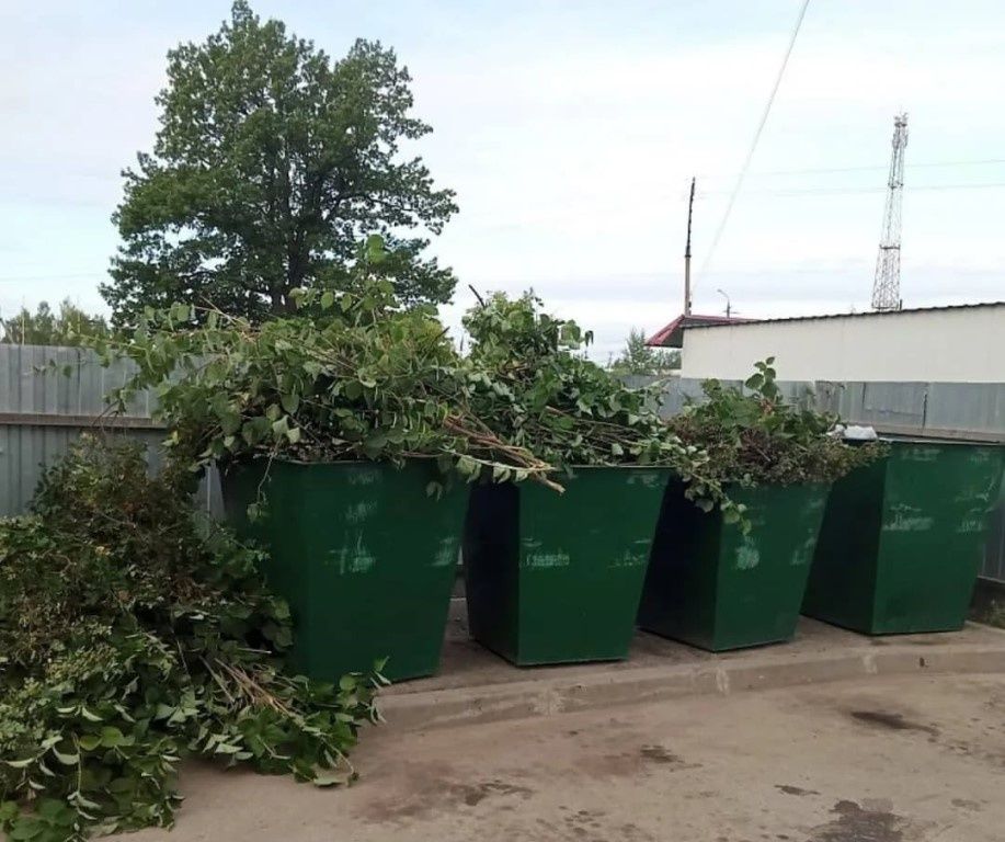 Как растительные отходы могут изменить правила игры в управлении отходами