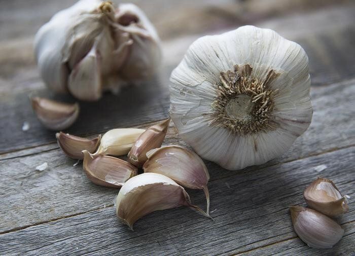 Как добиться большого урожая чеснока: секреты эффективной подкормки