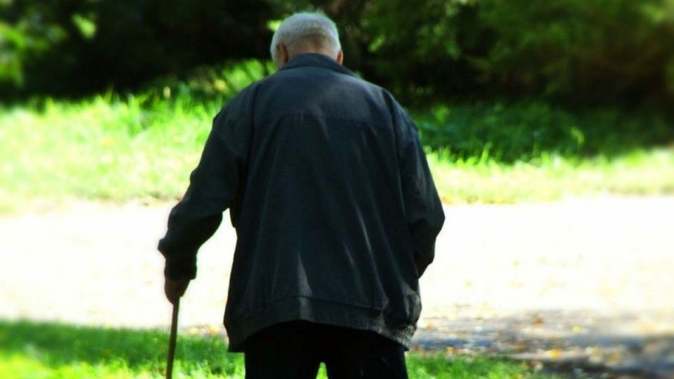 Как пенсионерам защитить свое имущество: важные шаги к успешному наследованию