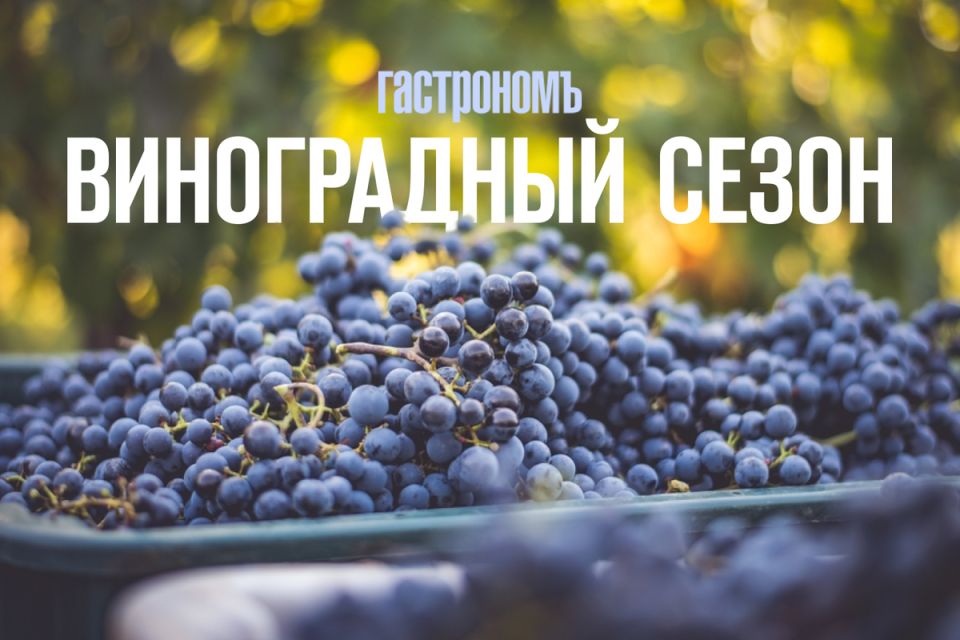 Сезон винограда: сладкие плоды здоровья и интересные факты