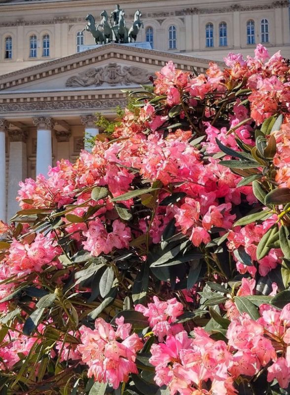 Скрытые жемчужины Москвы: идеальный экскурсионный день для провинциалки