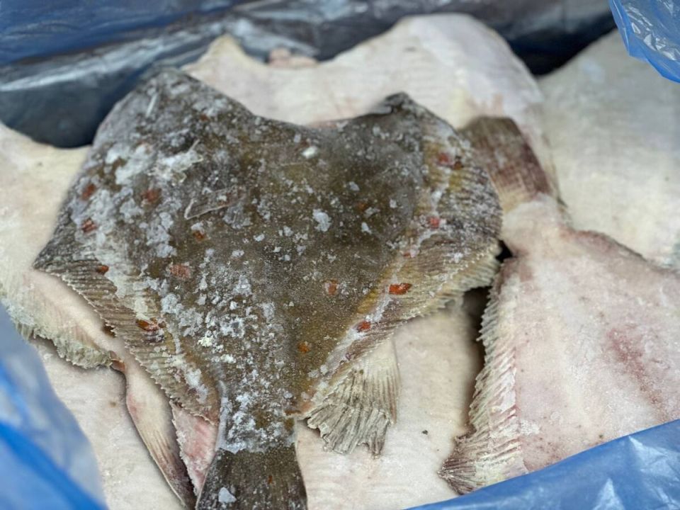 Камбала черноморская: вкусные традиции на вашем столе