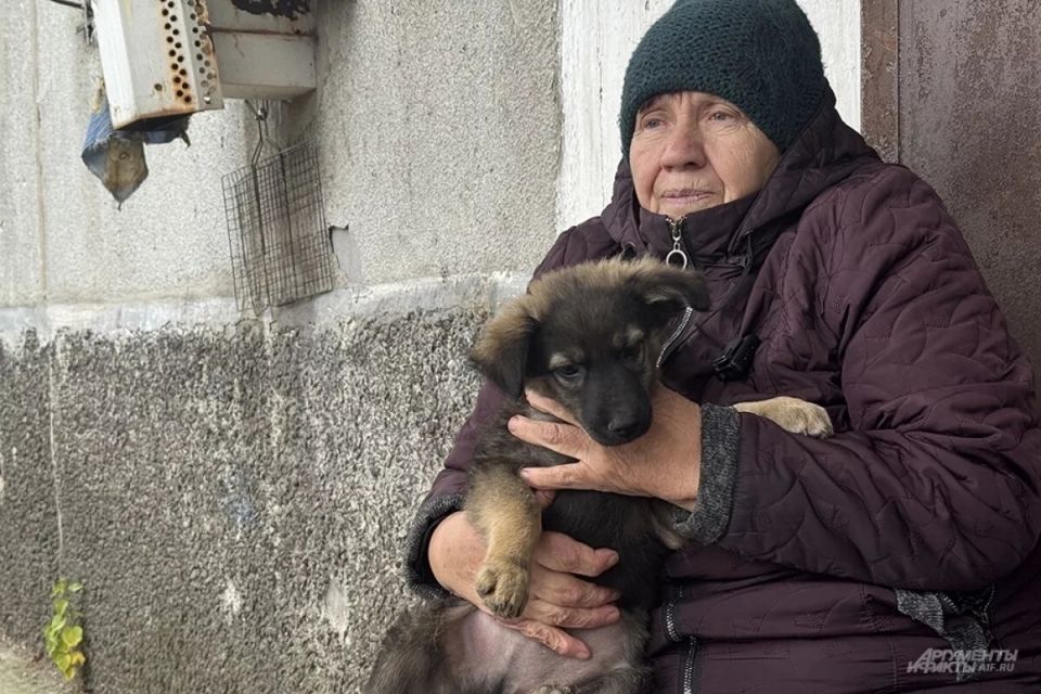 Ростовская область предвкушает новогодние подарки для пенсионеров