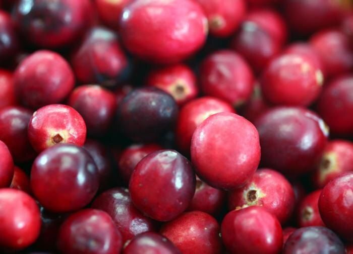 Как выращивать клюкву на своем участке