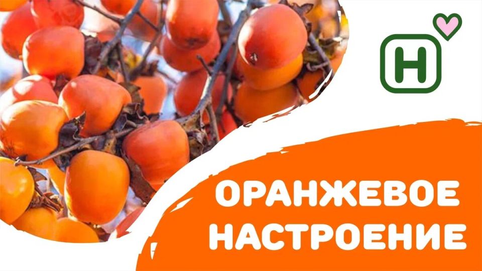 Хурма: солнечный фрукт осени