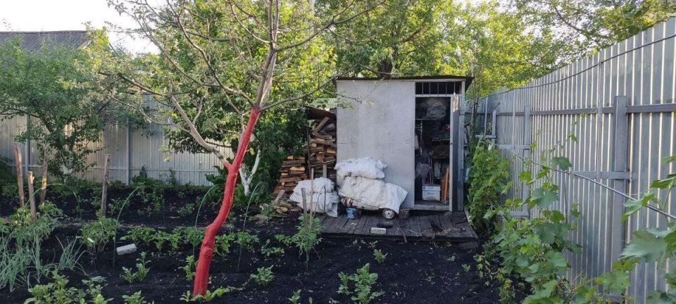 Новый закон о садоводстве: что изменится для дачников и огородников