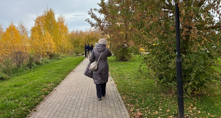 Пенсионные изменения: какие новшества ждут россиян в 2025 году