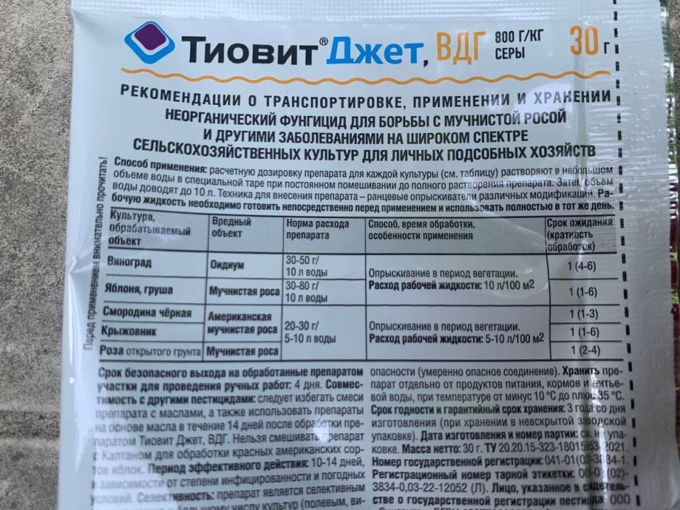 Урожай 2025: советы по уходу за виноградом в условиях вызревания