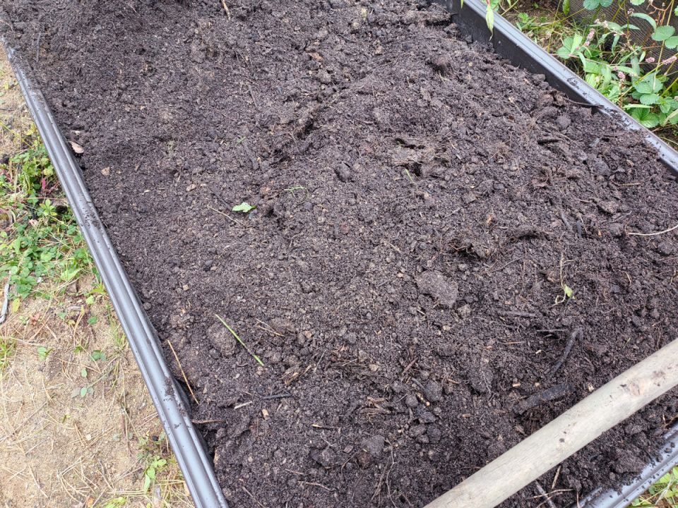 Как трансформировать бедные почвы в плодородные: секреты опытных дачников