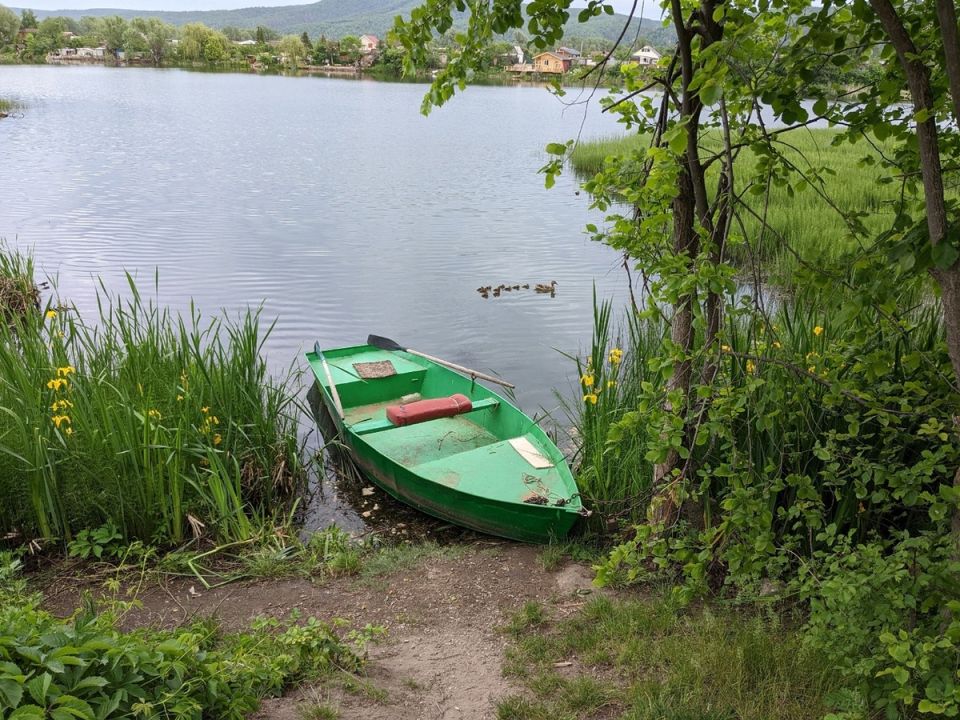 Сквозь зелень: тайны болотного ириса на берегу озера