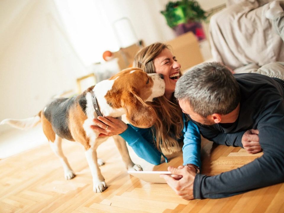 Новые правила: информация о членах семьи собственника квартиры появится в ЕГРН с 2025 года