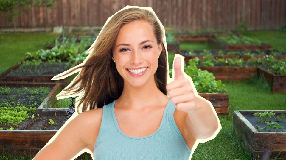 Щавель и укроп можно заготовить на зиму уже сейчас: воспользуйтесь простым способом