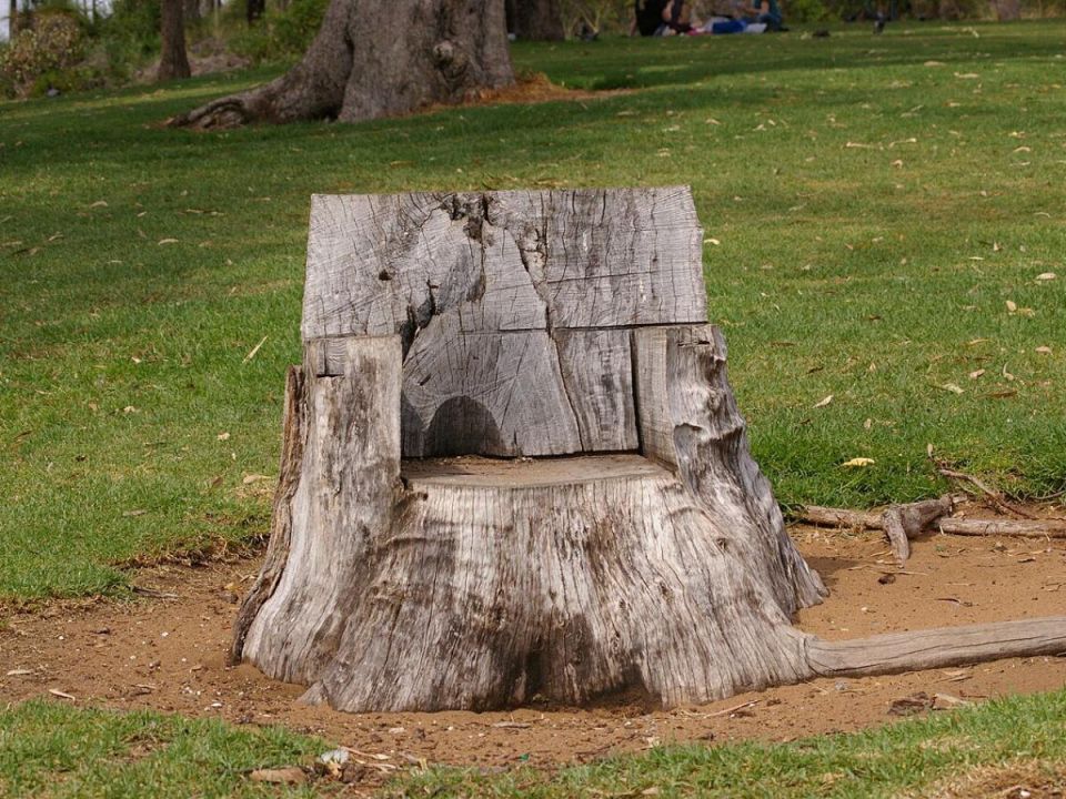 Как легко избавиться от пня: проверенный метод с огнем