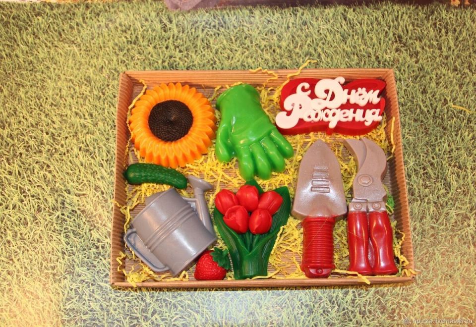 Что подарить опытному дачнику: необычные идеи для идеального подарка