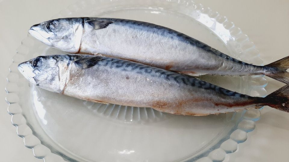 Вкусная скумбрия на ужин: простой и бюджетный рецепт для всей семьи