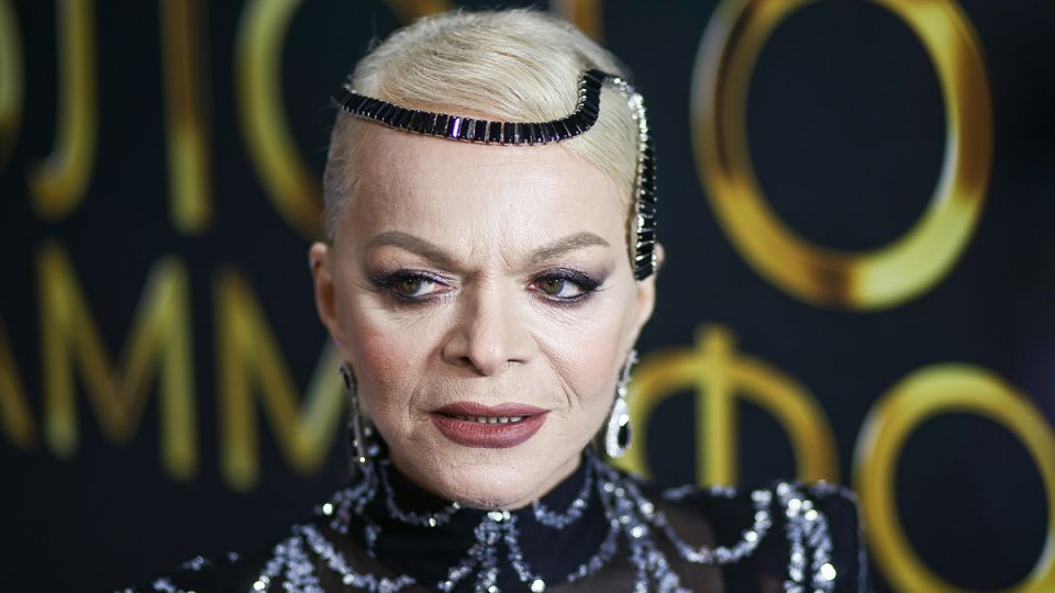 Необычная ситуация с квартирой Ларисы Долиной: мошенники в действии