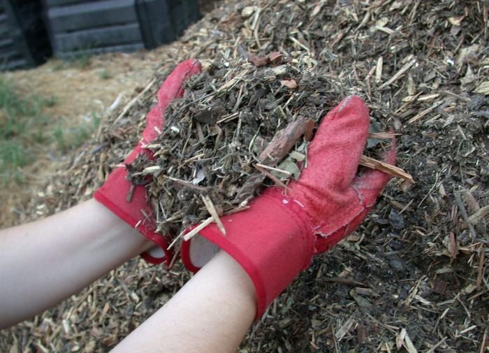 Как мульчирование преобразит ваш сад: советы и секреты