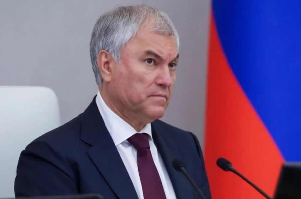 Вячеслав Володин требует конфискации активов инициаторов экономического воровства