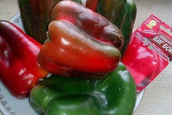 Перец Биг Бой: лидер среди овощей