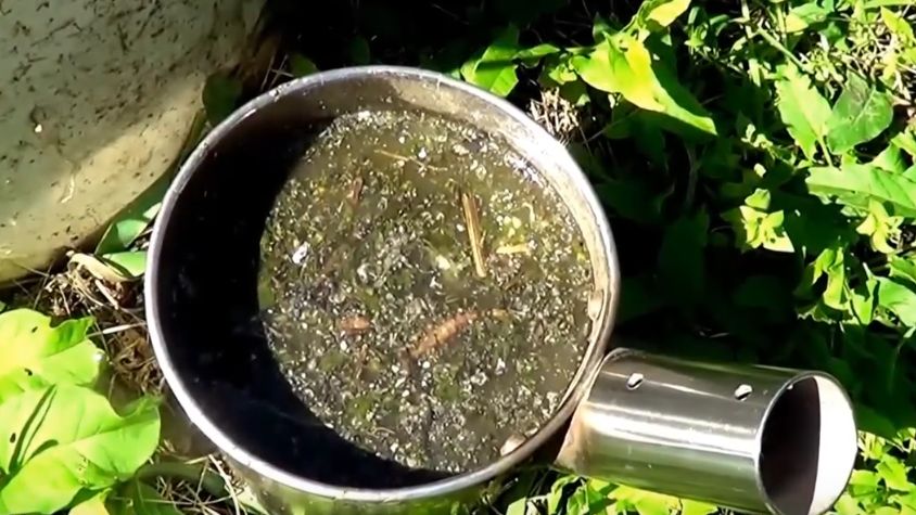 Тайны зеленого удобрения: мифы и правда о травяных подкормках