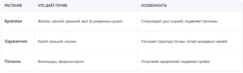 Осеннее органическое волшебство: как использовать крапиву, одуванчик и полынь для улучшения почвы