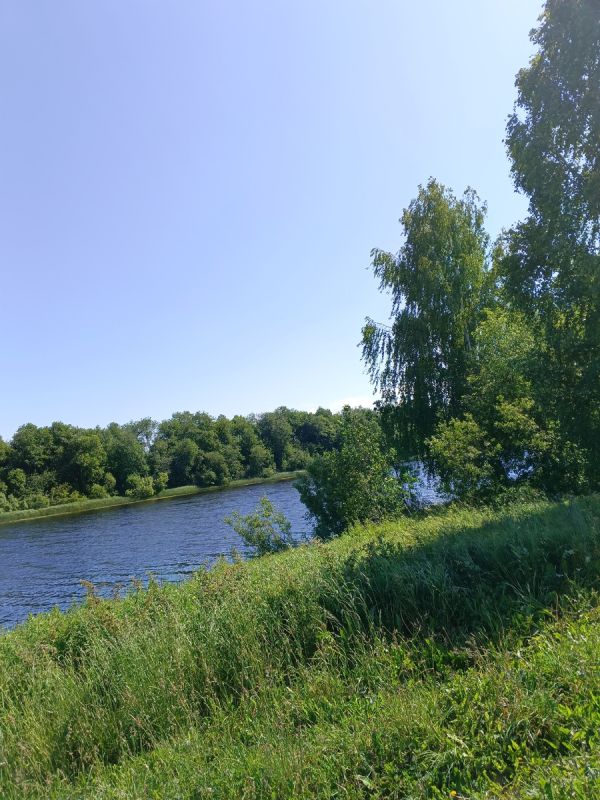 Почему токсичные люди влияют на нашу жизнь и как от них избавиться?