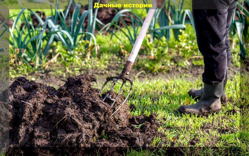 Как подготовить дачный участок к зиме: советы по органическому земледелию