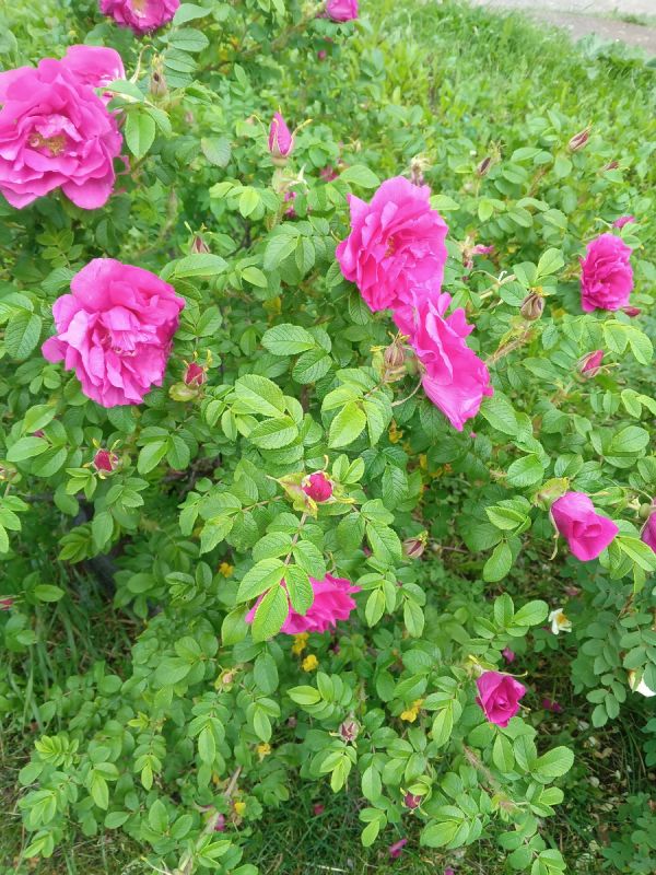 Почему поколения 60-х не стоит завидовать: искренний взгляд на пенсию и трудности жизни