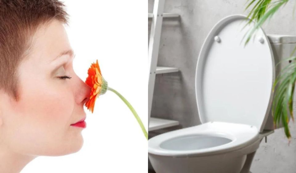 Секреты свежести в туалете: что положить в бачок унитаза?