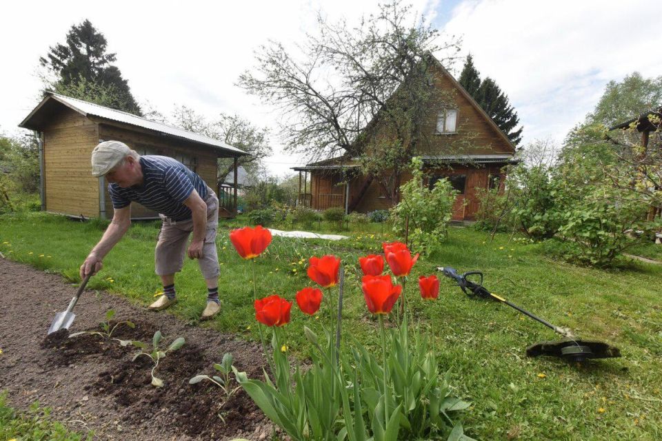 Новые штрафы для дачников: что нужно знать, чтобы избежать проблем