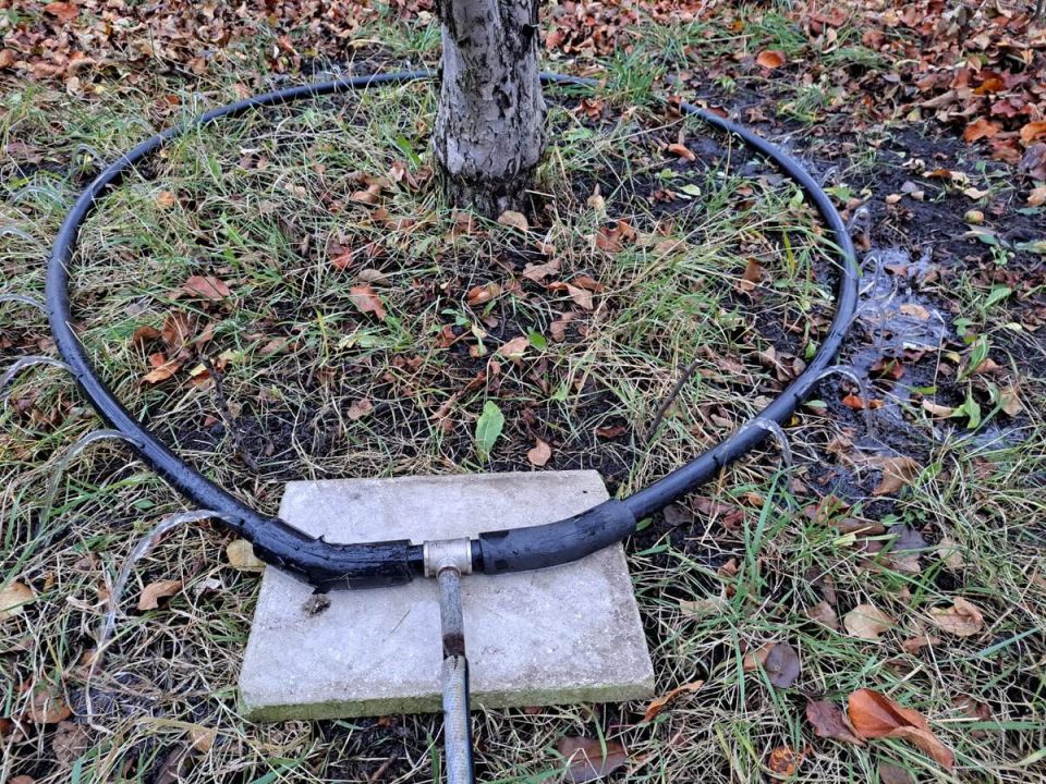 Влагозарядковый полив: Как подготовить сад к морозам?