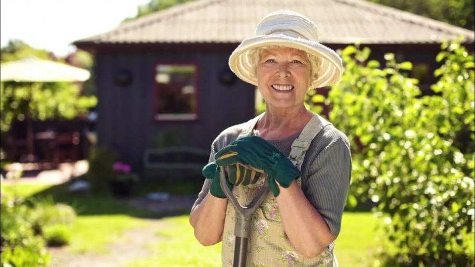 Садоводы могут вздохнуть спокойно: налог на имущество отменят для садовых домов