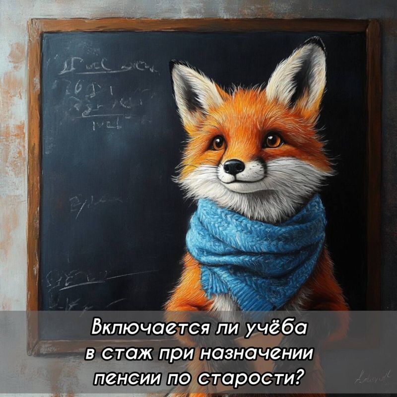 Студенческие годы в стаже: как это влияет на пенсию?