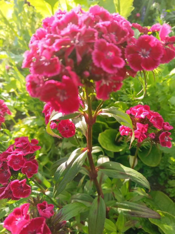 Морщины и красота: как научиться любить себя в любом возрасте