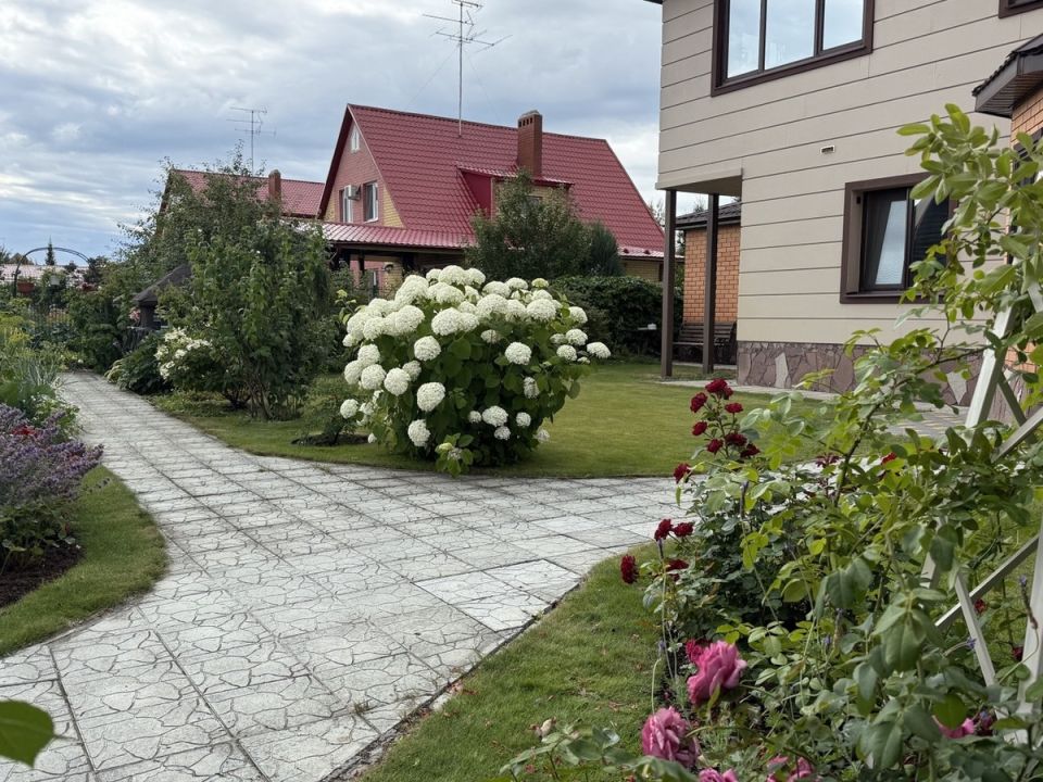 Ремонт газона: эффективные способы восстановления и пересадки